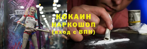 шишки Абинск