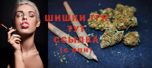 шишки Абинск