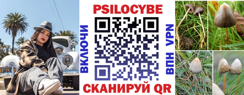 Псилоцибиновые грибы Psilocybine cubensis  hydra зеркало  даркнет наркотические препараты  Нягань 